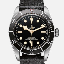 Click to View Tudor New Arrivals